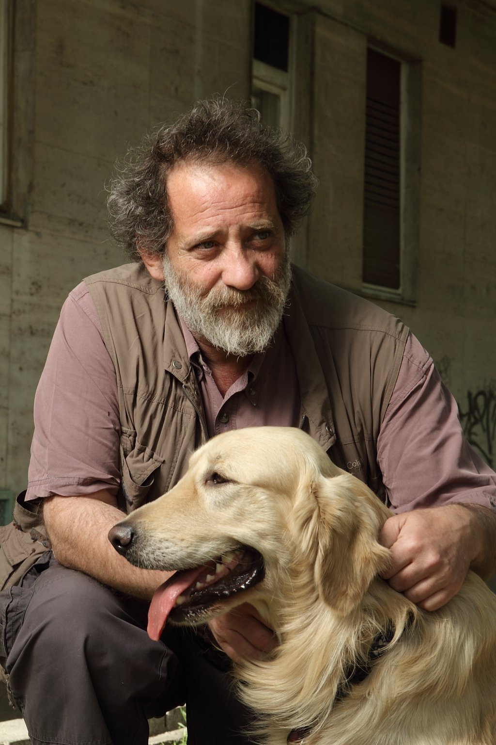 Kutya-gazda kapcsolat