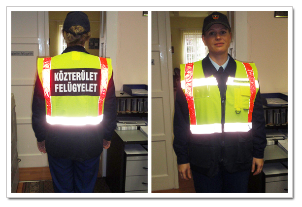 Közterület felügyelet