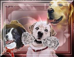 Kutya ugat, a pénz beszél