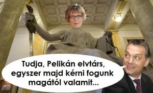 Handó Tünde kivétel