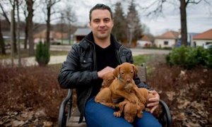 Az ártatlan Vona Gábor