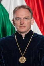 Juhász Imre, kormányhű alkotmánybíró