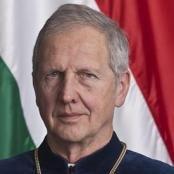 Dienes-Oehm-Egon, a kormányhű alkotmánybíró